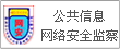 公共信息网络安全监察